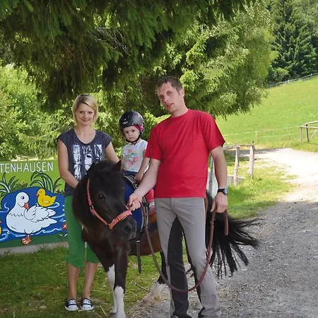 Отель Und Reiterparadies Ponyhof Раттен