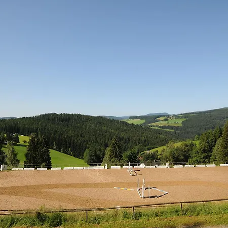 Отель Und Reiterparadies Ponyhof Раттен