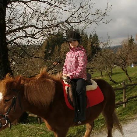 Отель Und Reiterparadies Ponyhof
