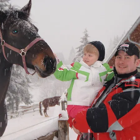 Отель Und Reiterparadies Ponyhof