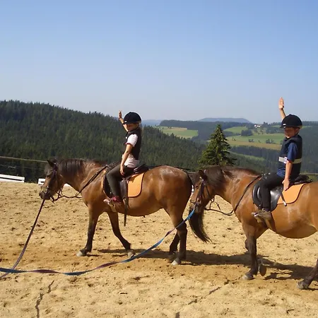 Und Reiterparadies Ponyhof
