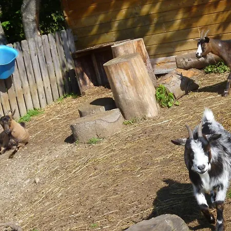 Отель Und Reiterparadies Ponyhof