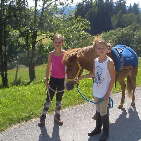 Отель Und Reiterparadies Ponyhof