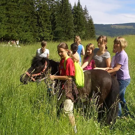 Отель Und Reiterparadies Ponyhof Раттен